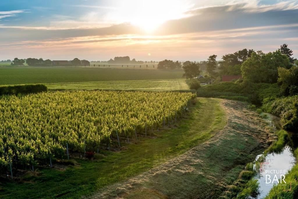 Wine-Barrel Rivaner Dreischor المظهر الخارجي الصورة